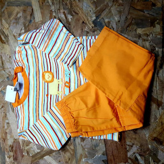 Ensemble 2 pièces t shirt rayé lion pantalon orange