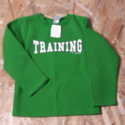 sweat vert "training"
