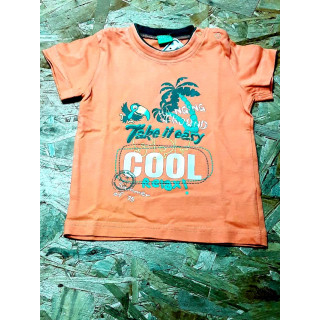 T shirt MC orange palmiers et toucan