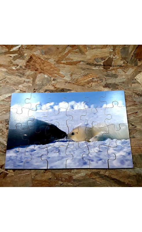 Puzzle 24 pièces Maman&Bébé phoque 2+