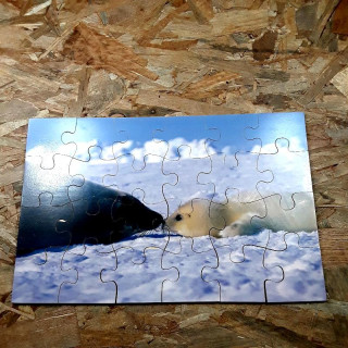 Puzzle 24 pièces Maman&Bébé phoque 2+