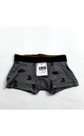 Boxer gris ours