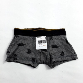 Boxer gris ours