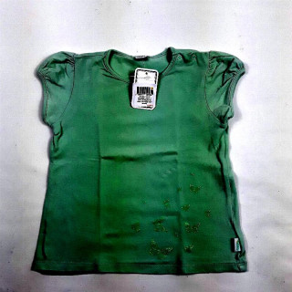 Ensemble 2 pièces T shirt Vert papillon et chino vert pastel