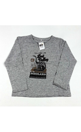 T shirt ML gris Dinoland